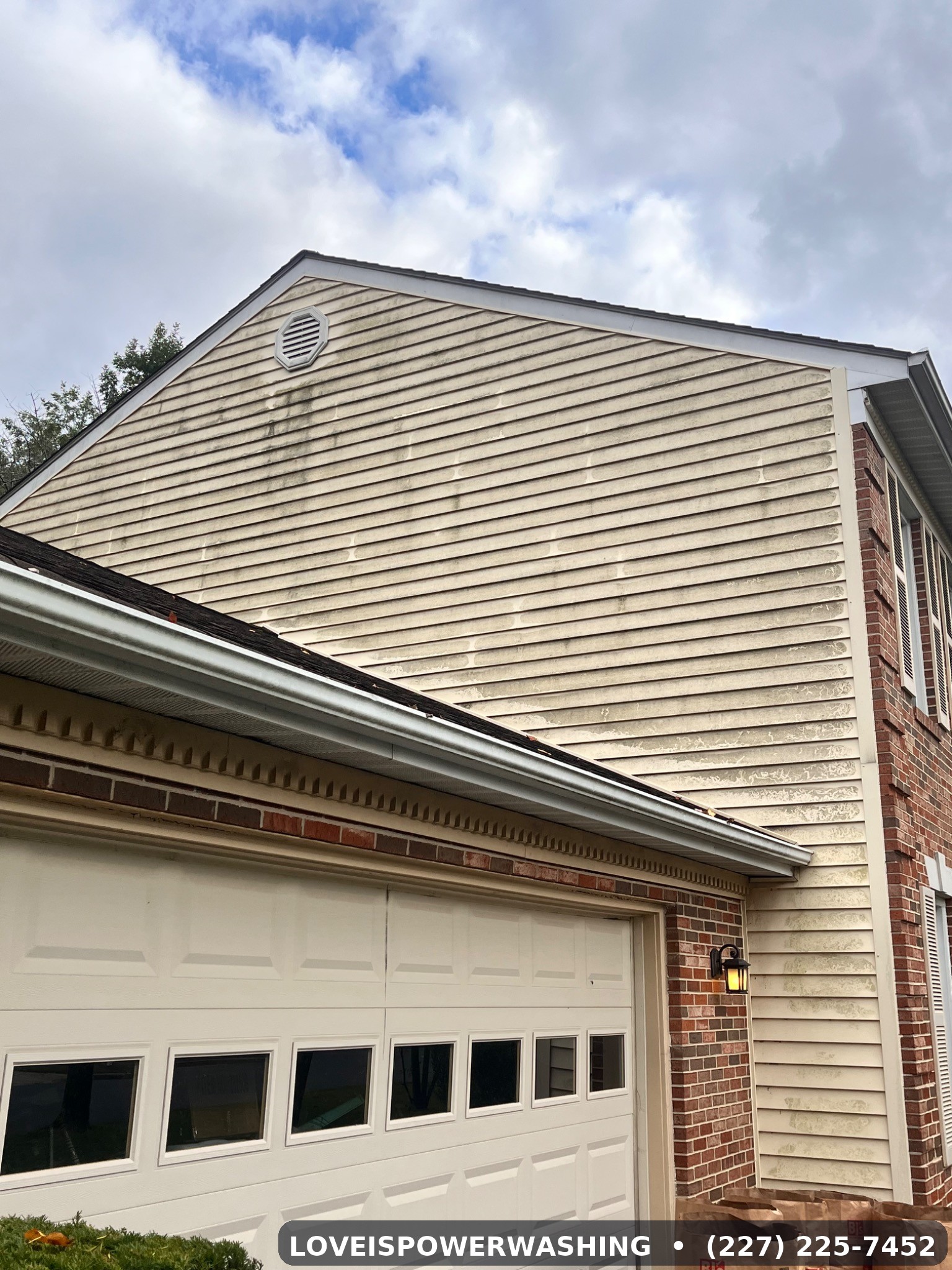 Siding before cleaning